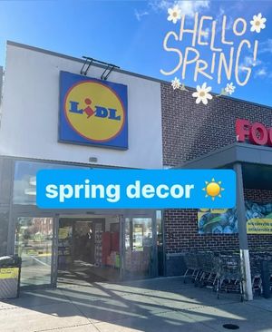 Image post by @lidlus on Instagram