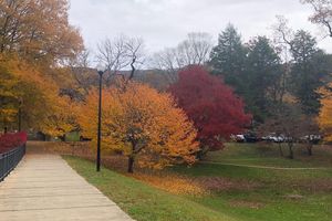 Image post by @montreat on Instagram