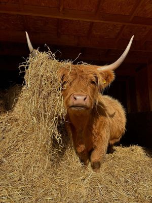 Image post by @visitscotland on Instagram