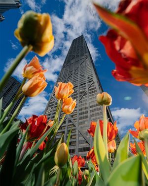 Image post by @360chicago on Instagram
