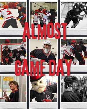 Image post by @govhockey on Instagram