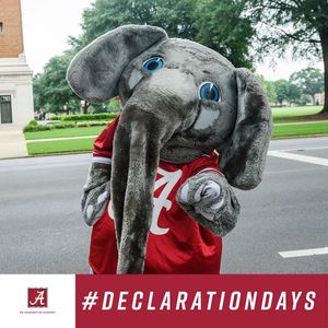 Image post by @ua_admissions on Instagram