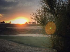 Image post by @lpgcncstate on Instagram