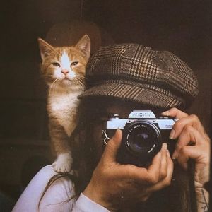 Image post by @fubiz on Instagram