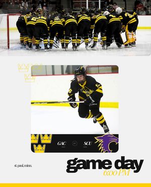 Image post by @gustiewhockey on Instagram