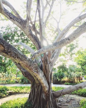 Image post by @kirstenalana on Instagram