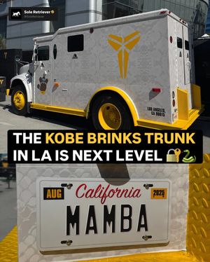 Image post by @soleretriever on Instagram