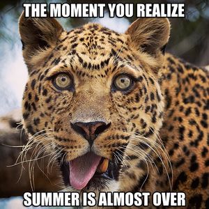 Image post by @sandiegozoo on Instagram