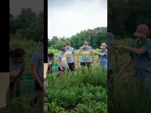 Video post by @IowaAdmissions on YouTube