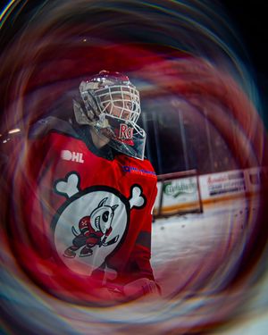 Image post by @ohlicedogs on Instagram