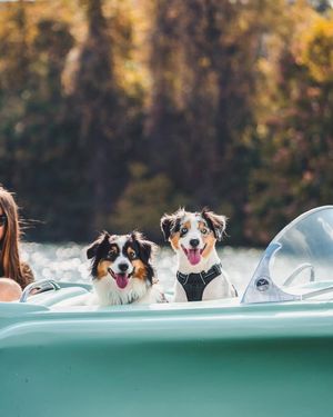 Image post by @retroboatrentalsatx on Facebook