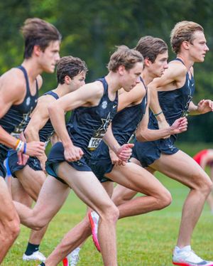 Image post by @vandyxctrack on Instagram