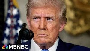 Video post by @msnbc on YouTube