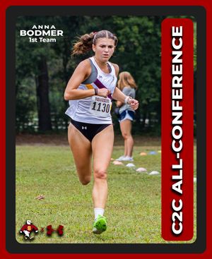 Image post by @suseagulls on Instagram