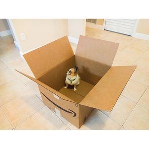 Image post by @amazon on Instagram