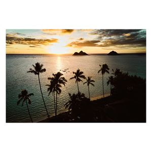 Image post by @gomediakc on Instagram