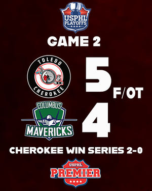 Image post by @usphlhockey on Instagram