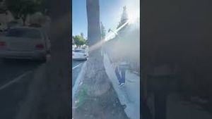 Video post by @omaze on YouTube