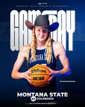 Image post by @msubobcatswbb on Instagram