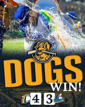 Image post by @chasriverdogs on Instagram