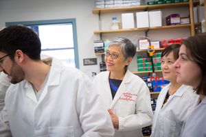 Image post by @pennmedicine on Instagram