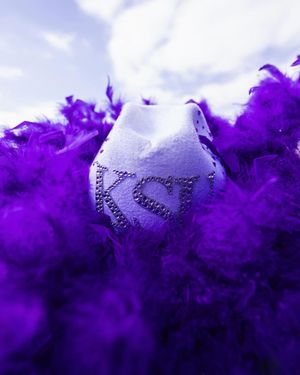 Image post by @kstatesports on Instagram
