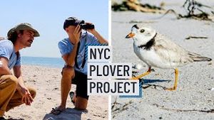 Video post by @nbcnewyork on YouTube