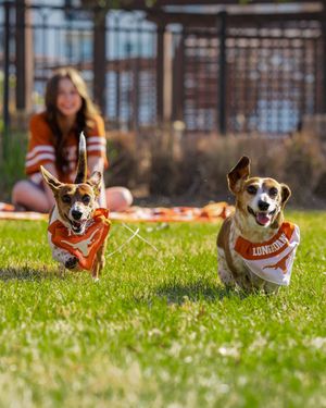 Image post by @utaustintx on Instagram