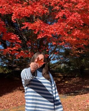 Image post by @visitbuckspa on Instagram