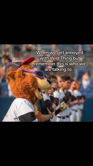 Video post by @washwildthings on TikTok