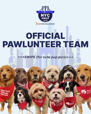 Image post by @nyrr on Instagram