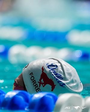 Image post by @smuswimdivem on Instagram