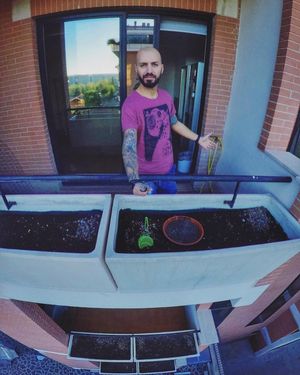 Image post by @alessiovass on Instagram