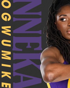 Image post by @LASparks on Twitter/X