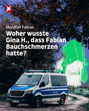 Video post by @stern_de on TikTok