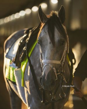 Image post by @fanduel_racing on Instagram