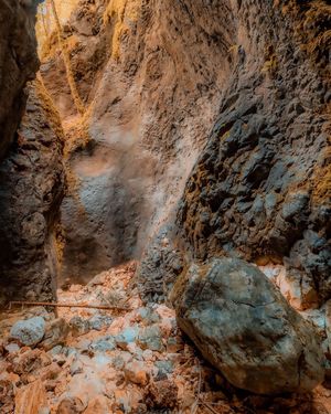 Image post by @cristan.nature.photography on Instagram