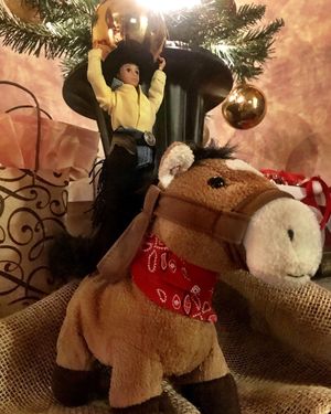 Image post by @nationalwestern on Instagram