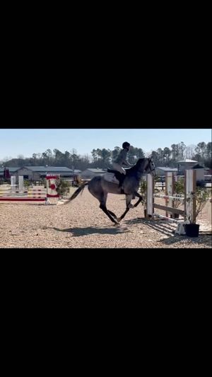 Video post by @clairecumbee on Instagram