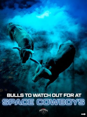 Image post by @pbr on Instagram