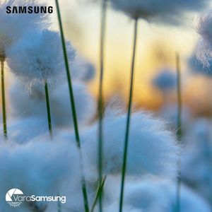Image post by @samsungromania on Instagram