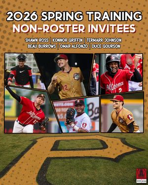 Image post by @altoonacurve on Instagram