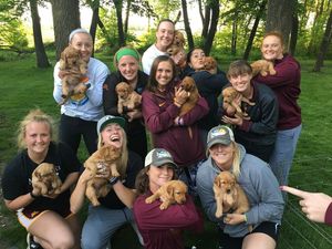 Image post by @gophersoftball on Instagram