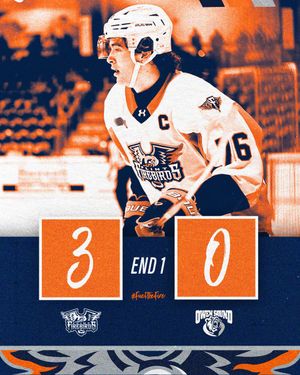 Image post by @FlintFirebirds on Twitter