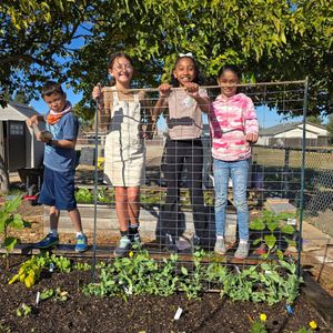 Image post by @kidsgardening on Instagram