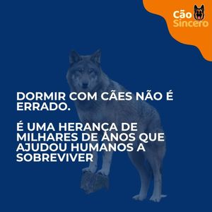 Image post by @adestradores.caosincero on Instagram