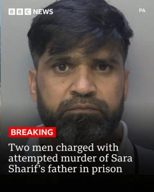 Image post by @bbcnews on TikTok