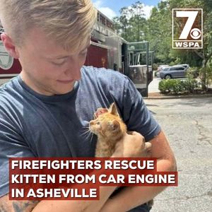 Image post by @wspatv on Instagram