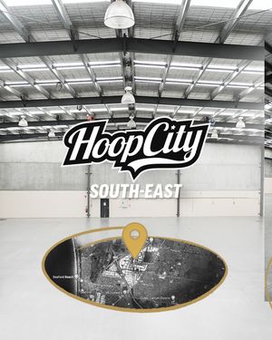 Image post by @hoopcityau on Instagram