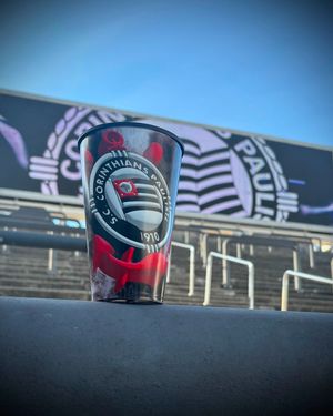 Image post by @corinthians on Instagram